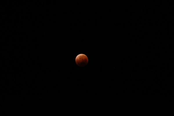 D_20150928-052228 IMG_0547.jpg